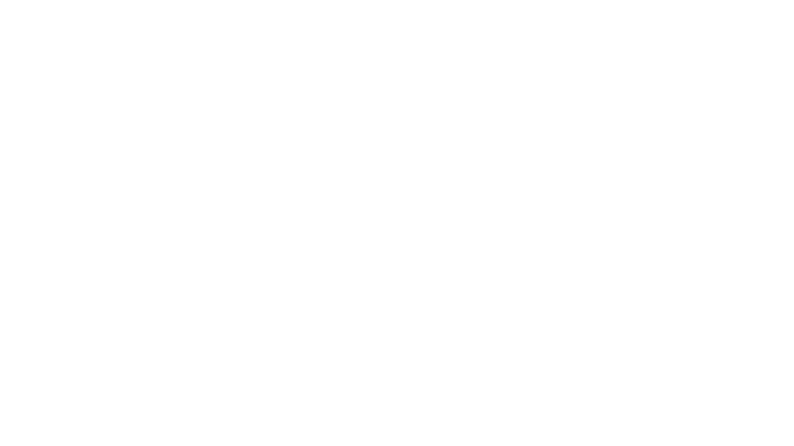 Max sport